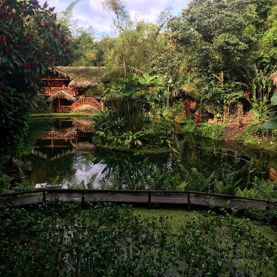 Mindo Lago Hotel Destino Exterior photo